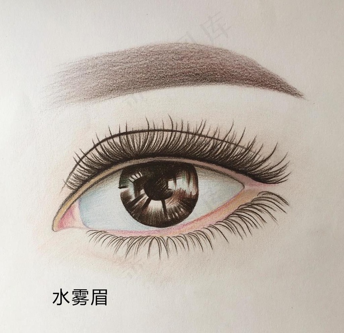 水雾眉图片