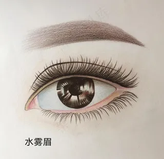 水雾眉图片