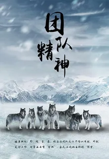 白色雪山狼性团结文化企业文化展图片