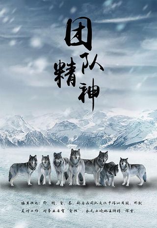 白色雪山狼性团结文化企业文化展图片