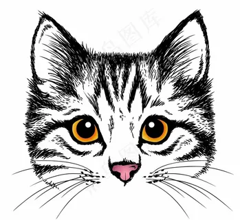猫头图片