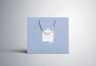 高档手提袋样机图片