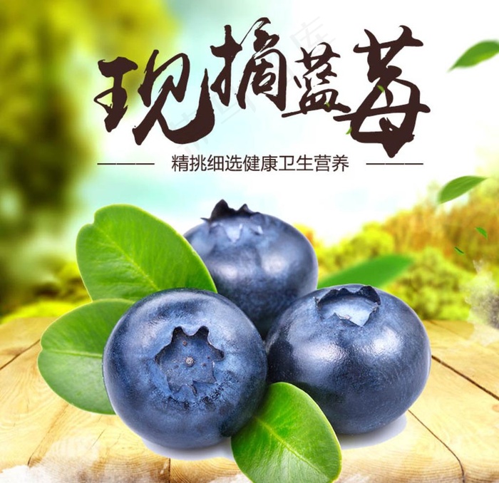 蓝莓水果海报图片