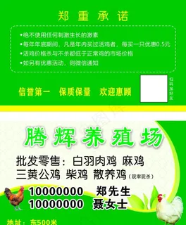 养鸡场名片图片
