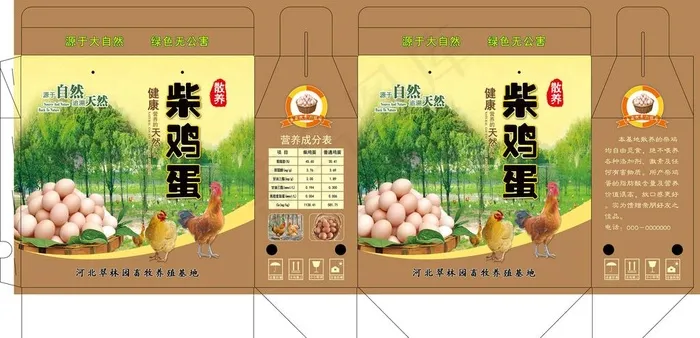 柴鸡蛋礼盒图片ai矢量模版下载