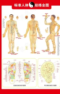 人体穴位图图片 人体穴位图图片