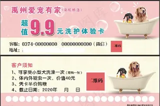 宠物洗澡体验卡图片