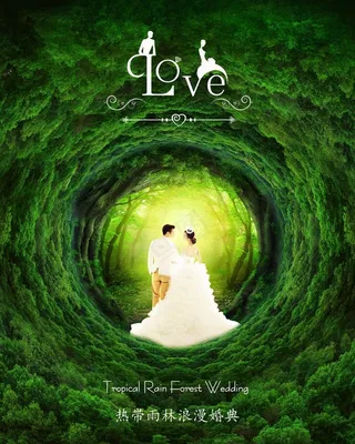 热带雨林丛林浪漫婚礼图片