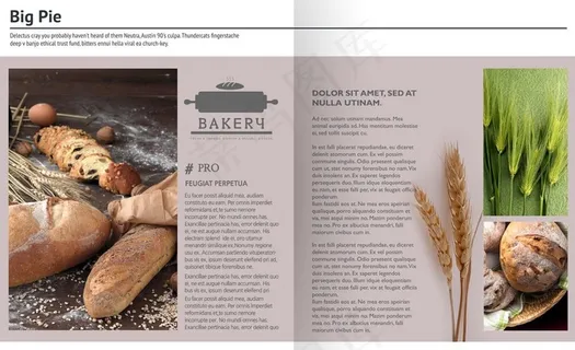 美味果蔬画册图片