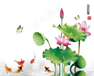 荷花图片 荷花图片