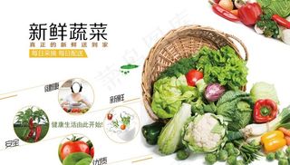 新鲜蔬菜展板图片