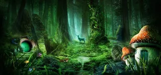 梦幻森林图片