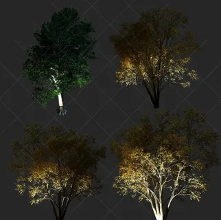 效果图素材夜景树带通道图片