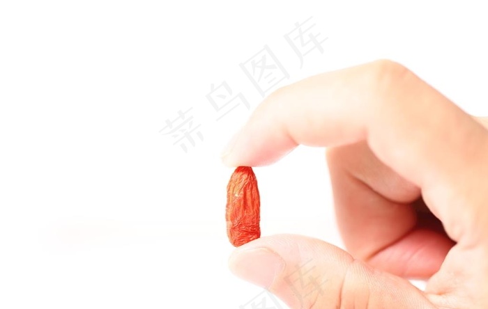 枸杞子特写图片