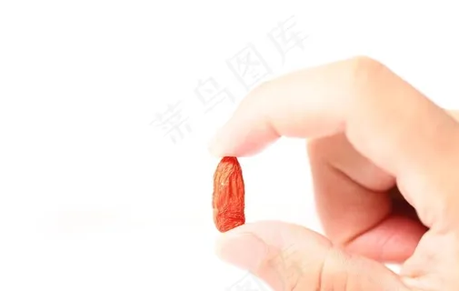 枸杞子特写图片 枸杞子特写图片
