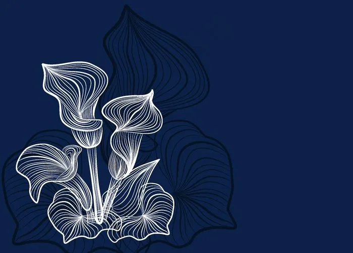 花图片ai矢量模版下载