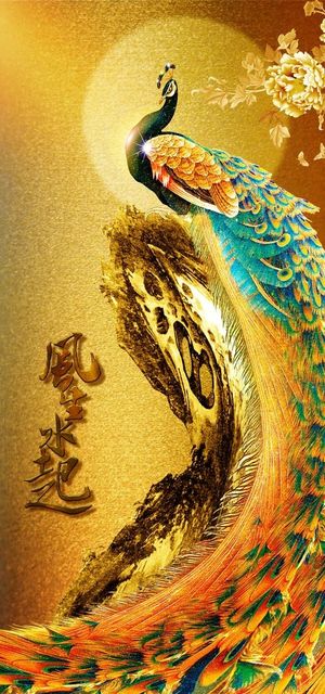 孔雀装饰画图片