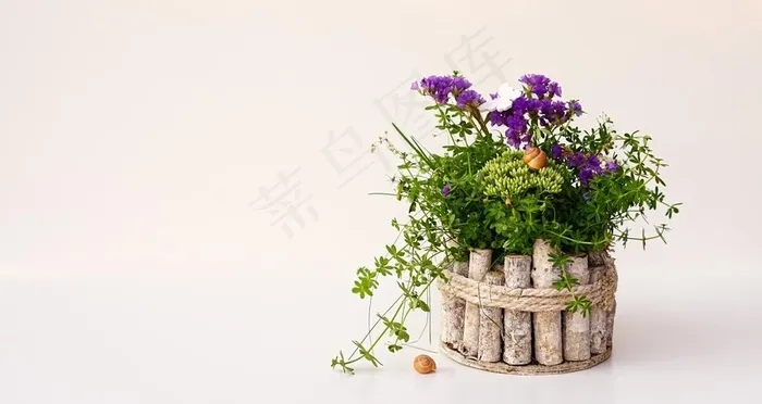 插花图片