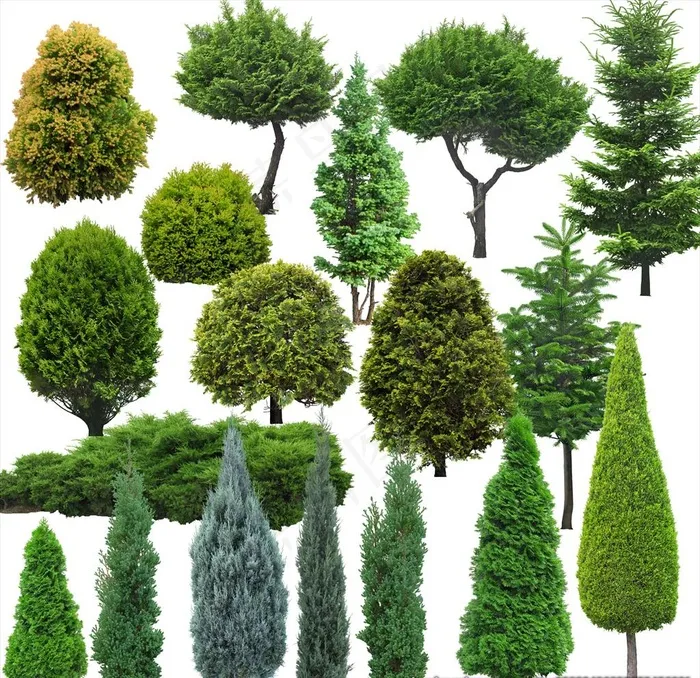 树木素材图片(6299X6299(DPI:200))psd模版下载