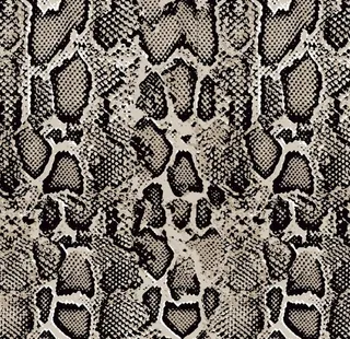 蛇纹图片