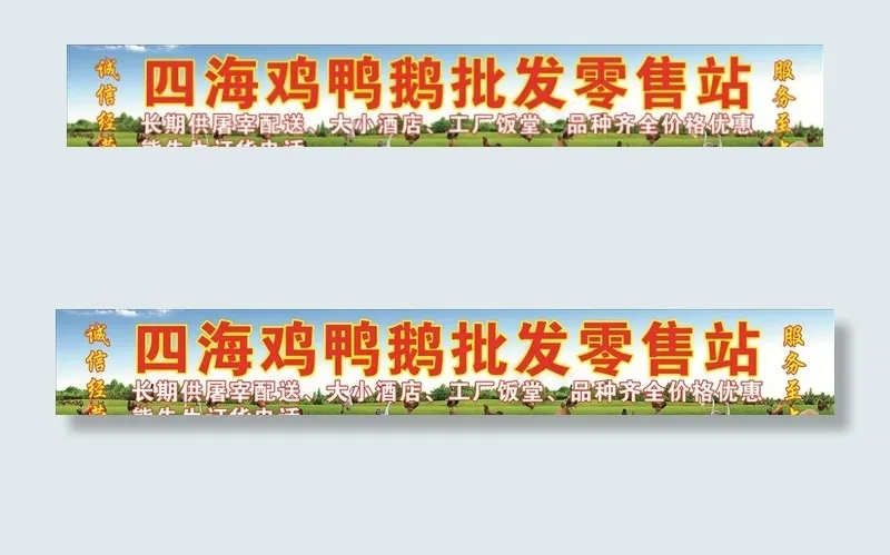 鸡鸭鹅批发图片