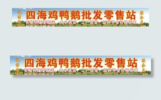 鸡鸭鹅批发图片