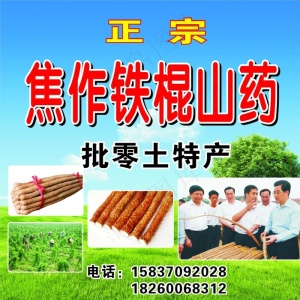 焦作铁棍山药图片