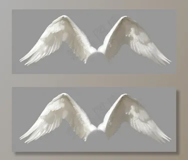 翅膀图片 翅膀图片