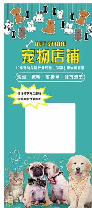 宠物名片图片