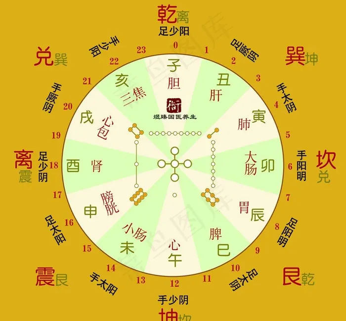 二十四小时养生钟图片psd模版下载