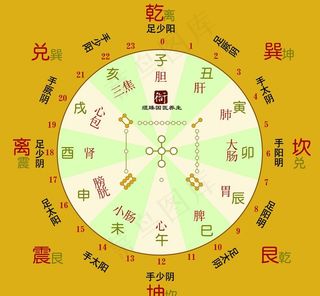 二十四小时养生钟图片