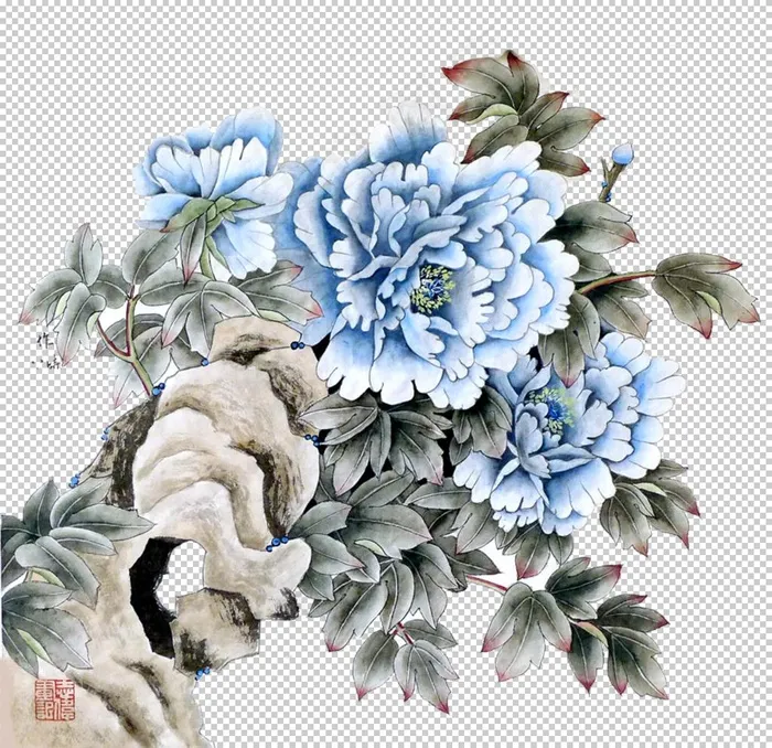 牡丹花图片