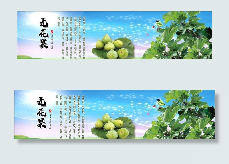 无花果图片(5276X1457(DPI:100))psd模版下载