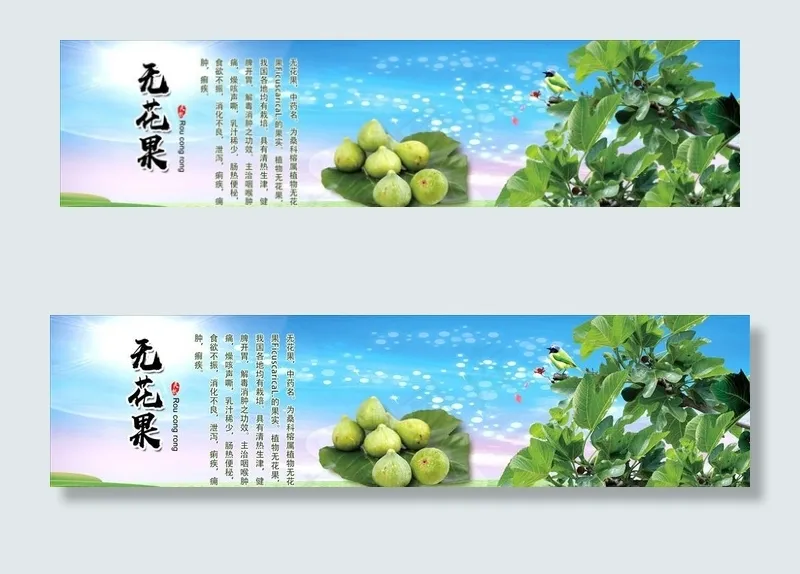 无花果图片(5276X1457(DPI:100))psd模版下载