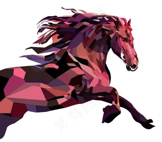 矢量彩马图片