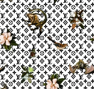 LV数码印花图片