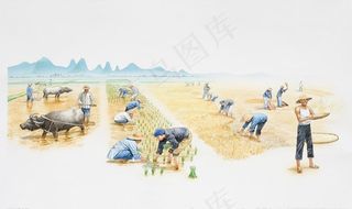 收货季节 插秧 农忙图片