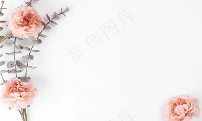 花朵极简图片