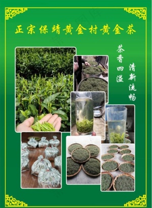 黄金茶图片