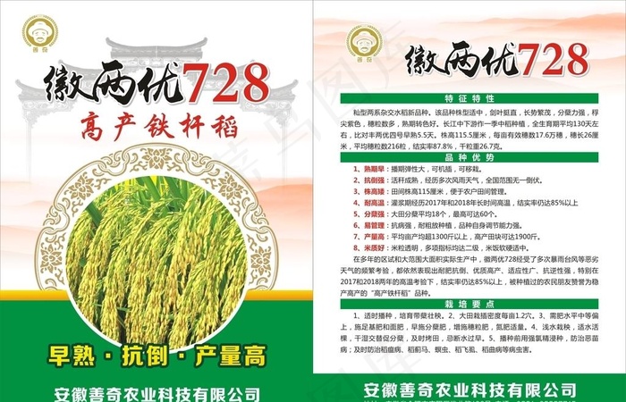 水稻单页图片(700X1000)cdr矢量模版下载