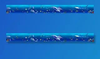 海底世界  海洋世界 海洋 鱼图片