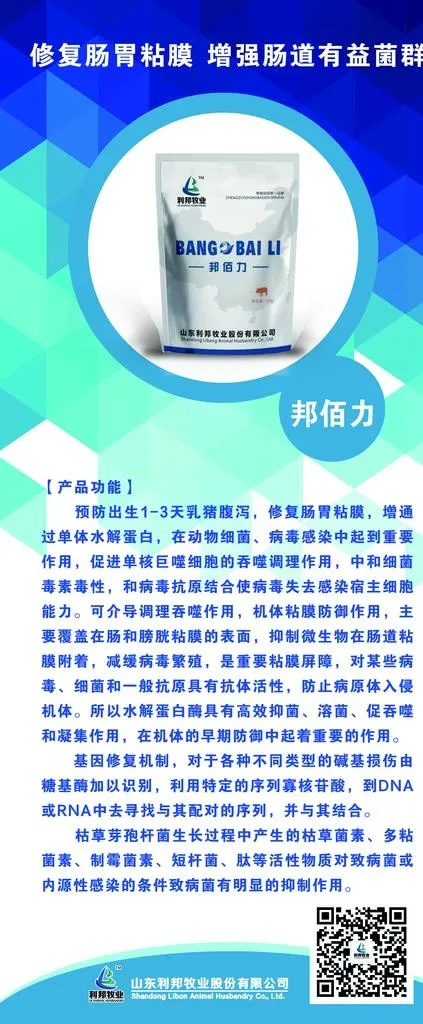 展架画面图片(3150X7087(DPI:100))psd模版下载