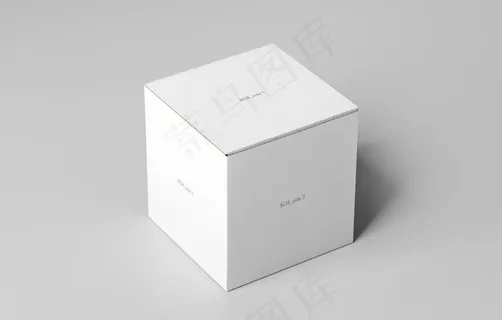 白纸盒样机图片
