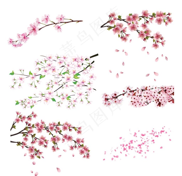 桃花图片psd模版下载