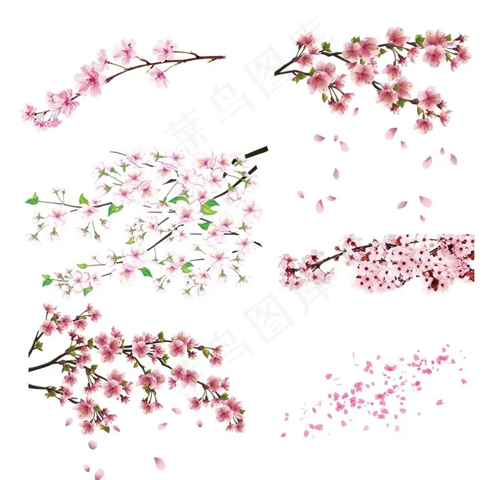 桃花图片psd模版下载