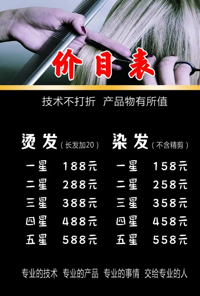 美发价目表图片(2480X3508(DPI:300))psd模版下载