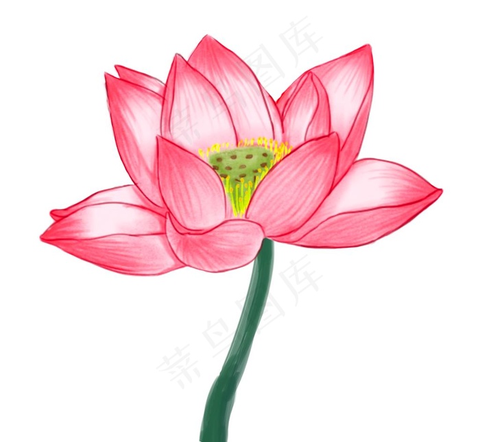 红色莲花手绘大图图片