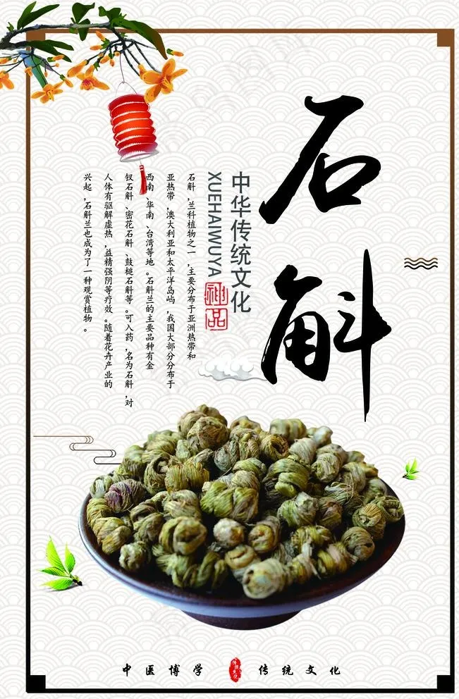 石斛图片(3543X5315(DPI:300))psd模版下载