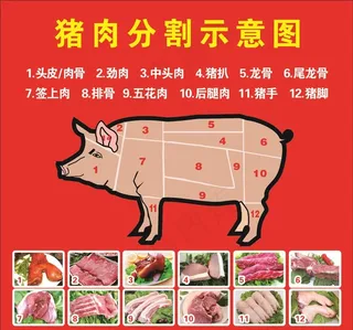 猪肉分割示意图图片