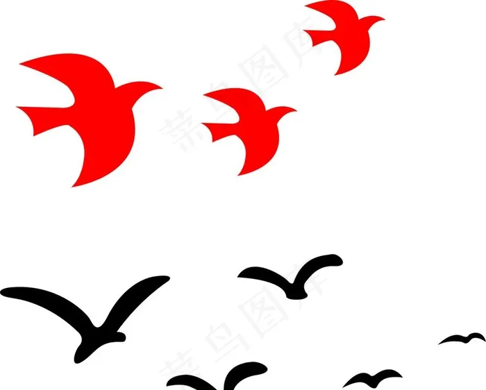 白鹭 鸽子图片cdr矢量模版下载